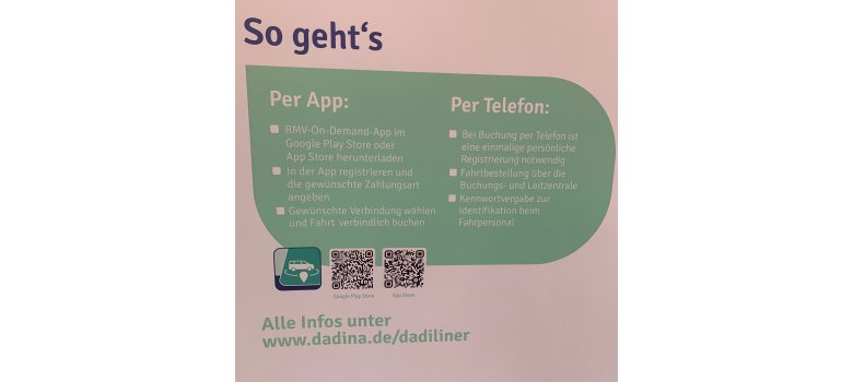 Plakat DaDiLiner Infos