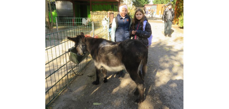 Auf dem Foto sieht man zwei Kinder und einen Esel beim Besuch der Kellerranch